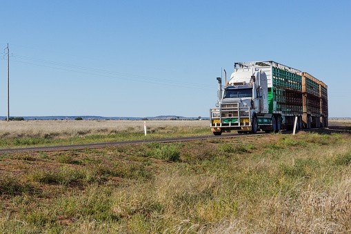 The Australian government is investing AU$100m to improve beef roads