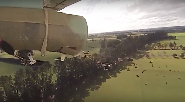 Watch: How an unmanned aerial vehicle and sterile moths are aiding the Kiwi apple industry