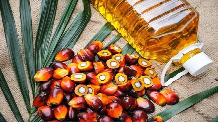 Cargill Asia boss Peter Van Deursen believes that palm oil will remain important, given its economic efficiency.  ©iStock