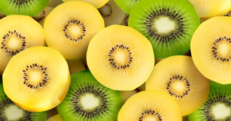 It is forecast that over 20% more trays of kiwifruit will be picked and packed this season. ©iStock