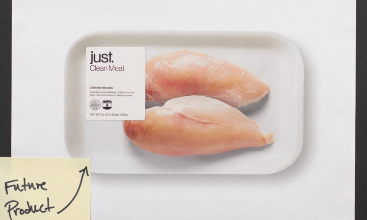 A prototype clean meat product from JUST.