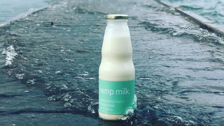 Refresh’s O’Neil said his hemp milk contains “just dates, sea salt, hemp and water”. ©Refresh