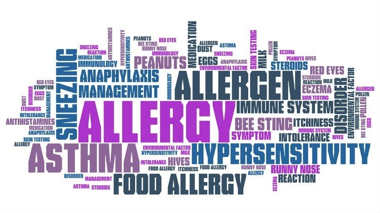 FSANZ has launched a new Food Allergen Portal following collaboration between the food industry and consumer and government stakeholders. ©GettyImages