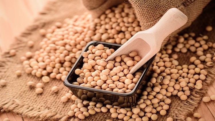 Soy is the number first choice for making plant-based dairy in China. ©Getty Images