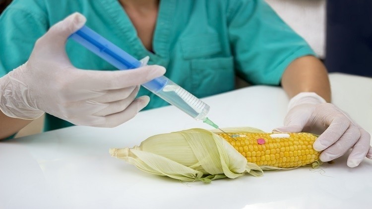 UAE has introduced a federal law to govern biosafety of GMOs and its related products. 