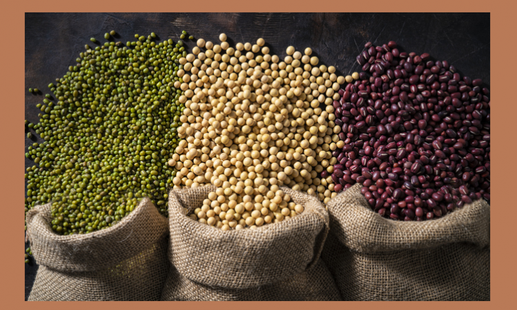 A picture showing mung bean (left), soybean, and red bean. © Getty Images 