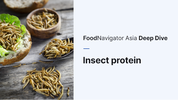The APAC insect protein industry needs both big brand and retailer support to move past its longstanding 'nascent' status. 