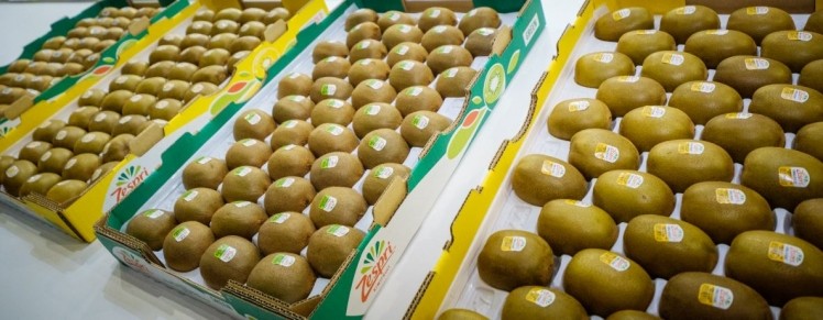 Zespri has reported strong demand for its kiwifruits in China ©ZespriTwitter