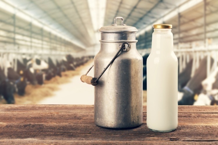 Milk sellers in Punjab are protesting the Punjab Food Authority’s (PFA) discarding of large quantities of milk based on adulteration concerns, arguing that there is a lack of substantial evidence to prove their fears. ©Getty Images