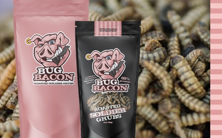 Black soldier fly grubs have a similar crunch and chewiness to real bacon ©Bug Bacon