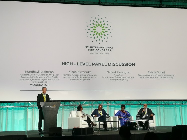 The high-level panel at International Rice Congress 2018. (Seated L-R) Kundhavi Kadiresan, Gilbert Houngbo, Maria Kiwanuka, Ashok Gulati.