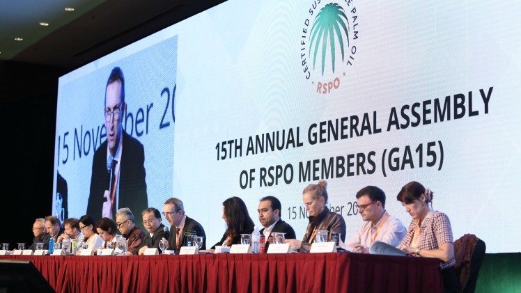 The new certification standards, ‘RSPO Principles and Criteria (P&C) 2018’, were ratified following a General Assembly vote at the RT16 in Sabah. ©RSPO