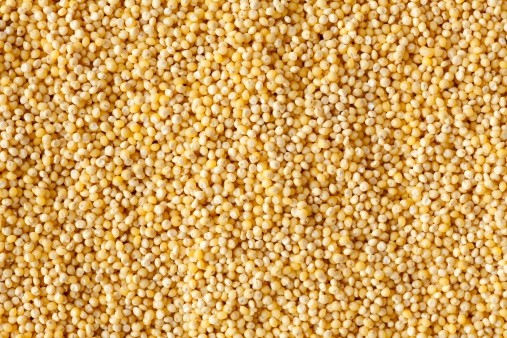 India has implemented new comprehensive food safety and quality standards for millets in the country in anticipation of a production and demand boom. ©Getty Images