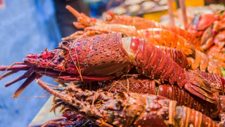 The lobster industry in Oceania has been one of those most heavily affected by fears from the coronavirus outbreak. ©Getty Images