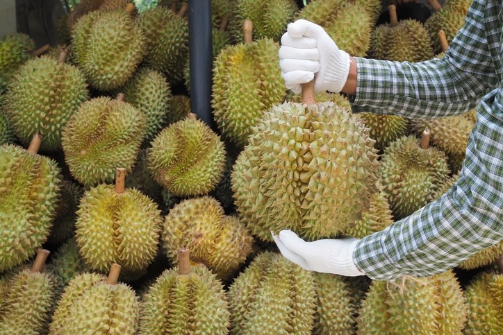 Each durian will be tagged, photographed and tracked at each stage of the supply chain ©Getty Images