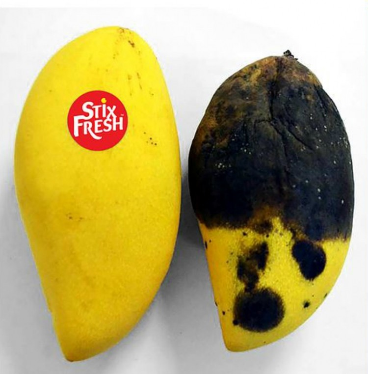 A Malaysian-invented fruit sticker, called StixFresh, claims to prolong the shelf life and freshness of certain fruits by slowing ripening, as well as reduce microbe attacks. ©StixFresh
