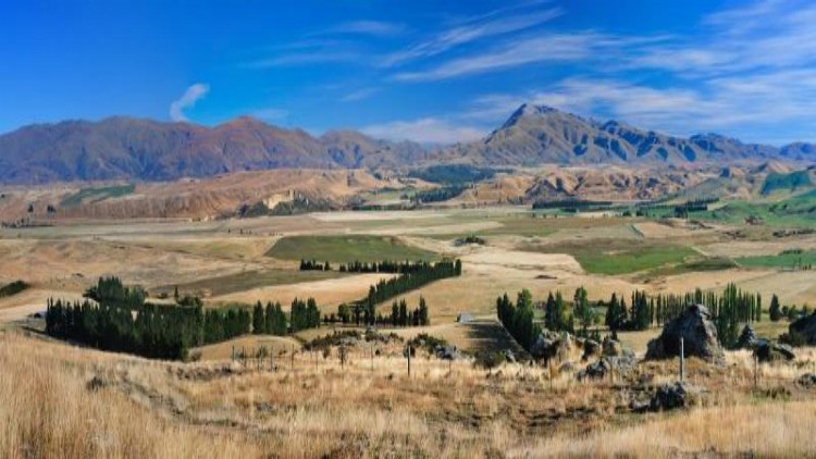 Scorching temperatures and minimal rainfall are beginning to bite in New Zealand