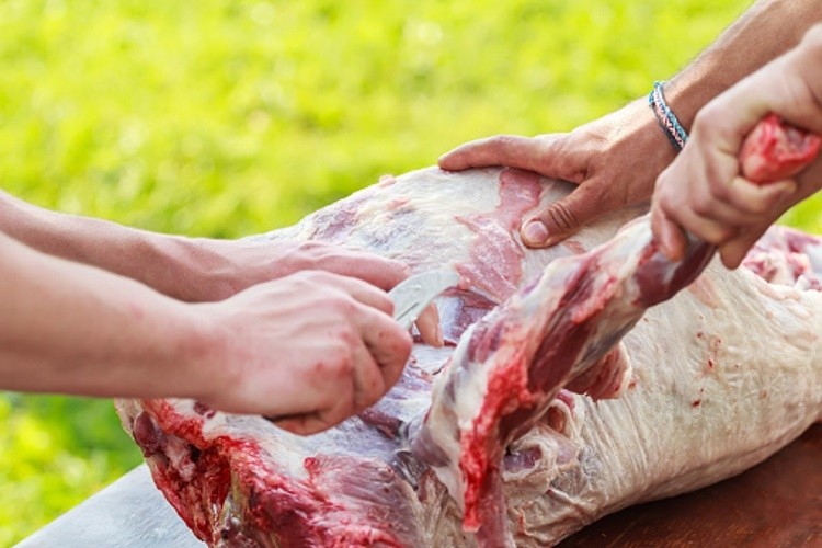 The Australian meat industry has condemned an alleged illegal slaughterhouse in Victoria (stock photo)