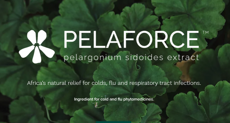 PELAFORCE™ has proven clinical activity as an antiviral, antibacterial, expectorant, and immune modulator.