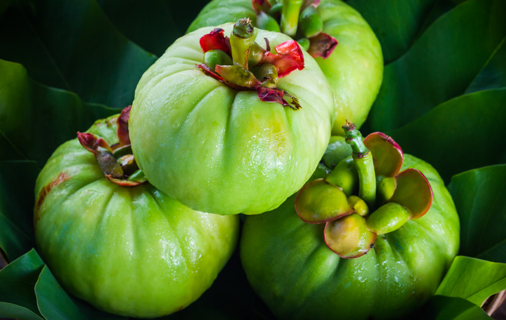 The garcinia cambogia fruit.  © Getty Images