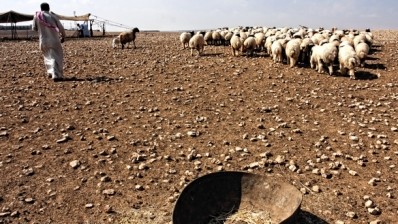 FAO: Agriculture support more important than human aid in Syria