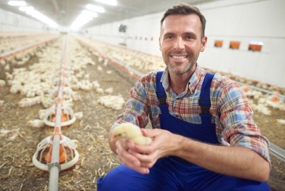 Ingham's has contracted new chicken growers as its paves the way for years of expansion