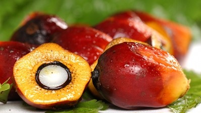 How has RSPO responded to deforestation from palm oil plantations?