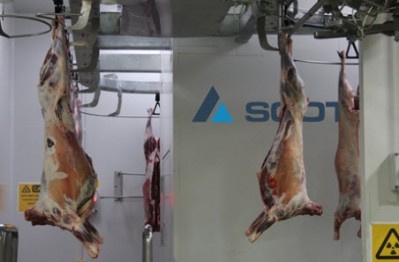 Meat & Livestock Australia is to invest $14m in Dexa technology