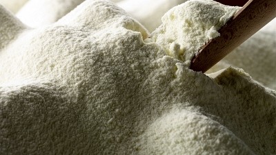 Kiwi whole milk powder prices buoyed by reduced Chinese stocks