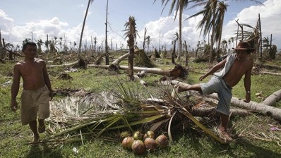 Philippine coconut farmers still struggling to recover after Haiyan