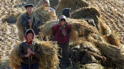 N Korea food security still dire although harvest is up for third year