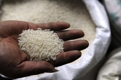 China cadmium scare might lead to global rice price support