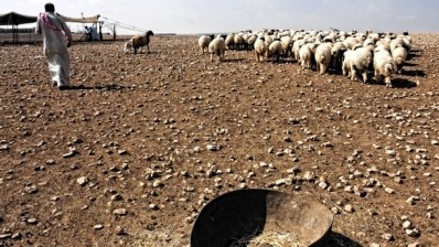 Syrian farm production grows, but is still far from pre-war levels