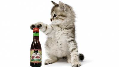 Wine for cats launched in Japan