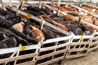 The ACCC has made 14 bold recommendations to appease beef price 'concerns'