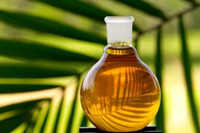 Palm oil imports may be responsible for as many as 117,000 EU jobs, claims the report