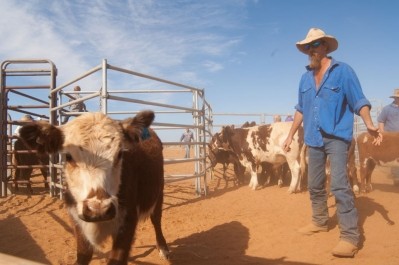 The Brickhouse and Milinya cattle stations have been bought by the Minderoo Group
