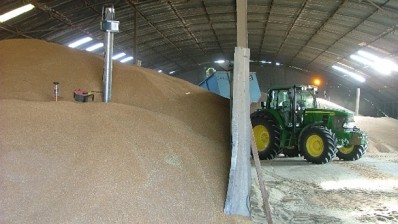 Could nanotechnology protect grain stores from pests?