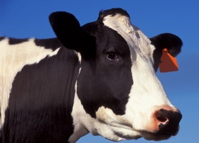 China Modern Dairy shares fall as bovine TB reports probed