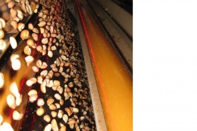 Ruparel and Tomra remove aflatoxin-contaminated peanuts