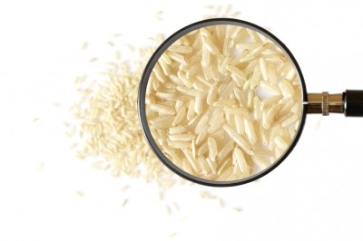 Researchers get 'milk powder' style protein out of rice 