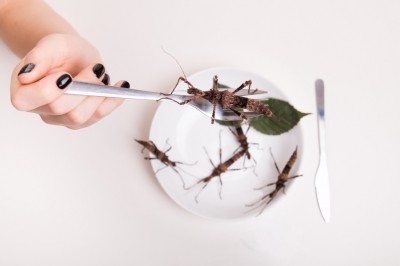 The challenges of selling insects in Europe