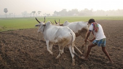 Indian agriculture must modernise if it stands to keep up with population growth