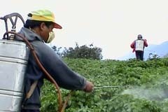 Beware of pesticides in Chinese imports: study