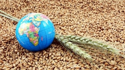Soft commodities to the fore as El Niño hits Apac grain prices