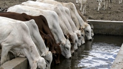 Greenhouse gas mitigation potential from livestock sector revealed