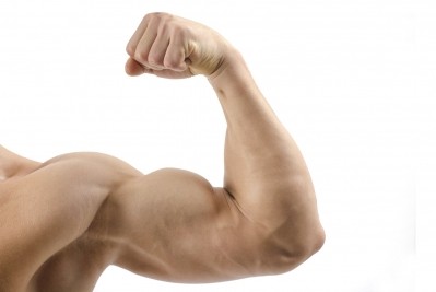“Truly exciting”: Probiotic may increase muscle mass, energy & performance