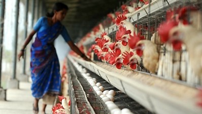 EU lifts poultry meat ban while US complains to WTO of Indian embargo