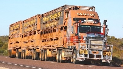 Revolutionary transport model could save cattle hours in road trains