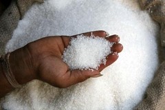 Sources suggest Indian sugar deregulation is nearing reality